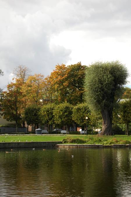 Rudens Tallinn 2 Rudens krāsas